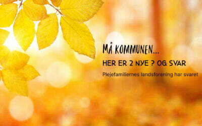 Må kommunen presse på med at anbringe barnet i din familie, inden kontrakten er underskrevet?