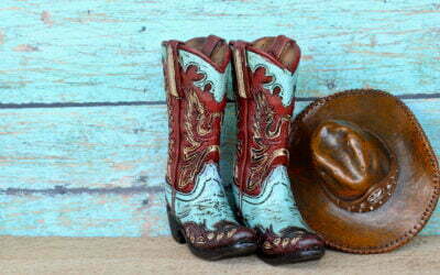 Vores fag er det vilde vesten