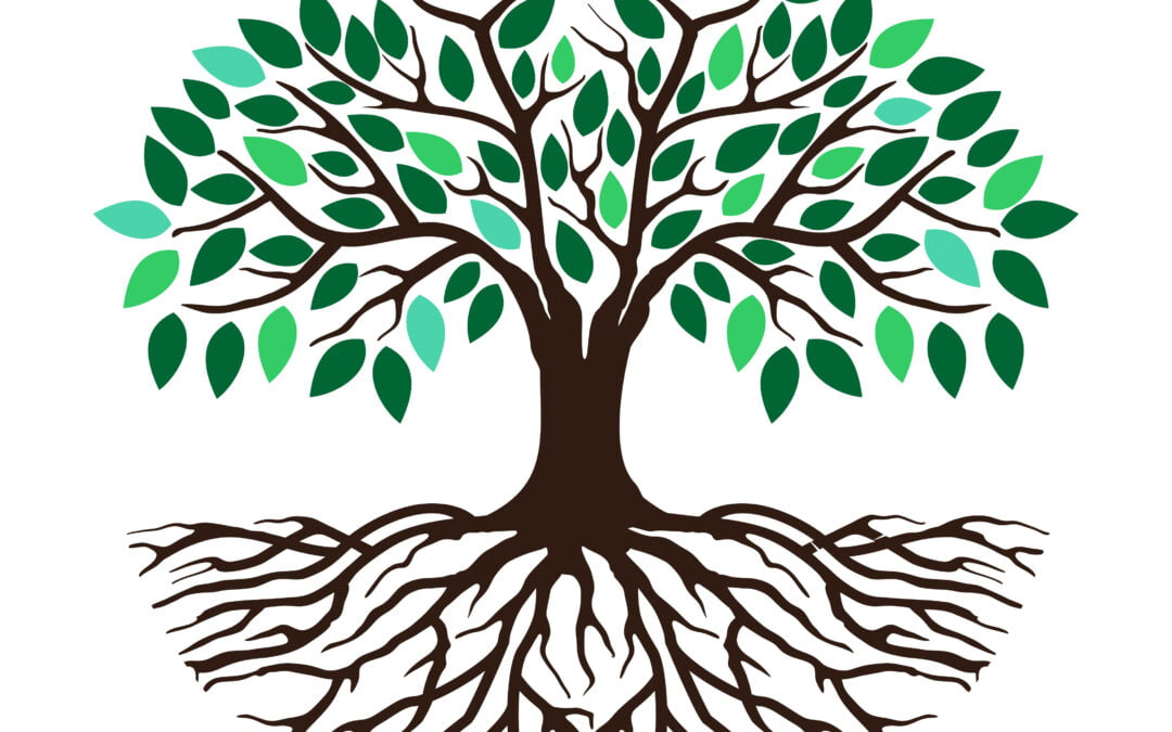 Alle har ret til at kende deres historie – også plejebørn