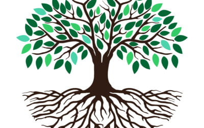 Alle har ret til at kende deres historie – også plejebørn