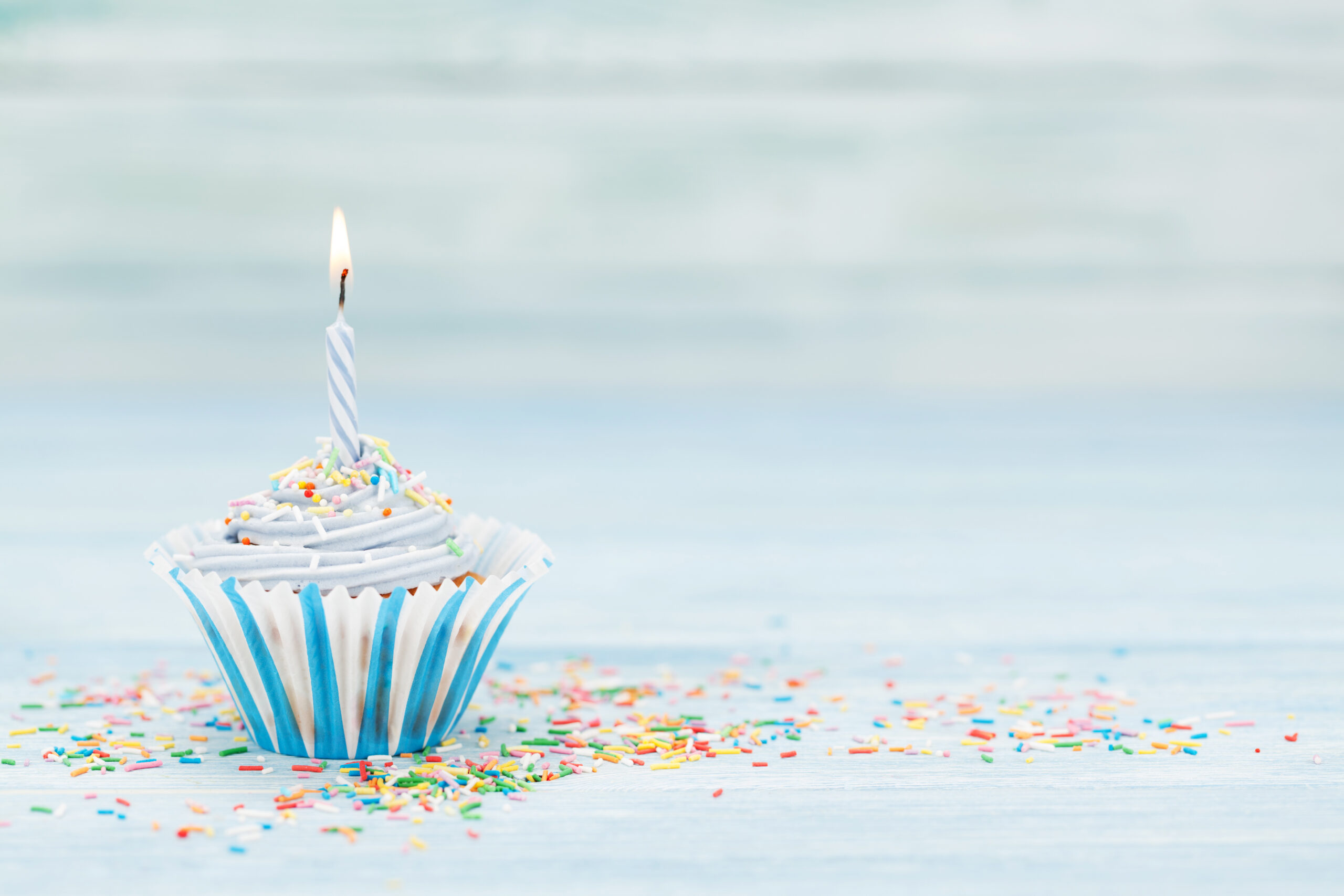 Shutterstock_2546788393 PLF 1 år som selvstændig fagforening