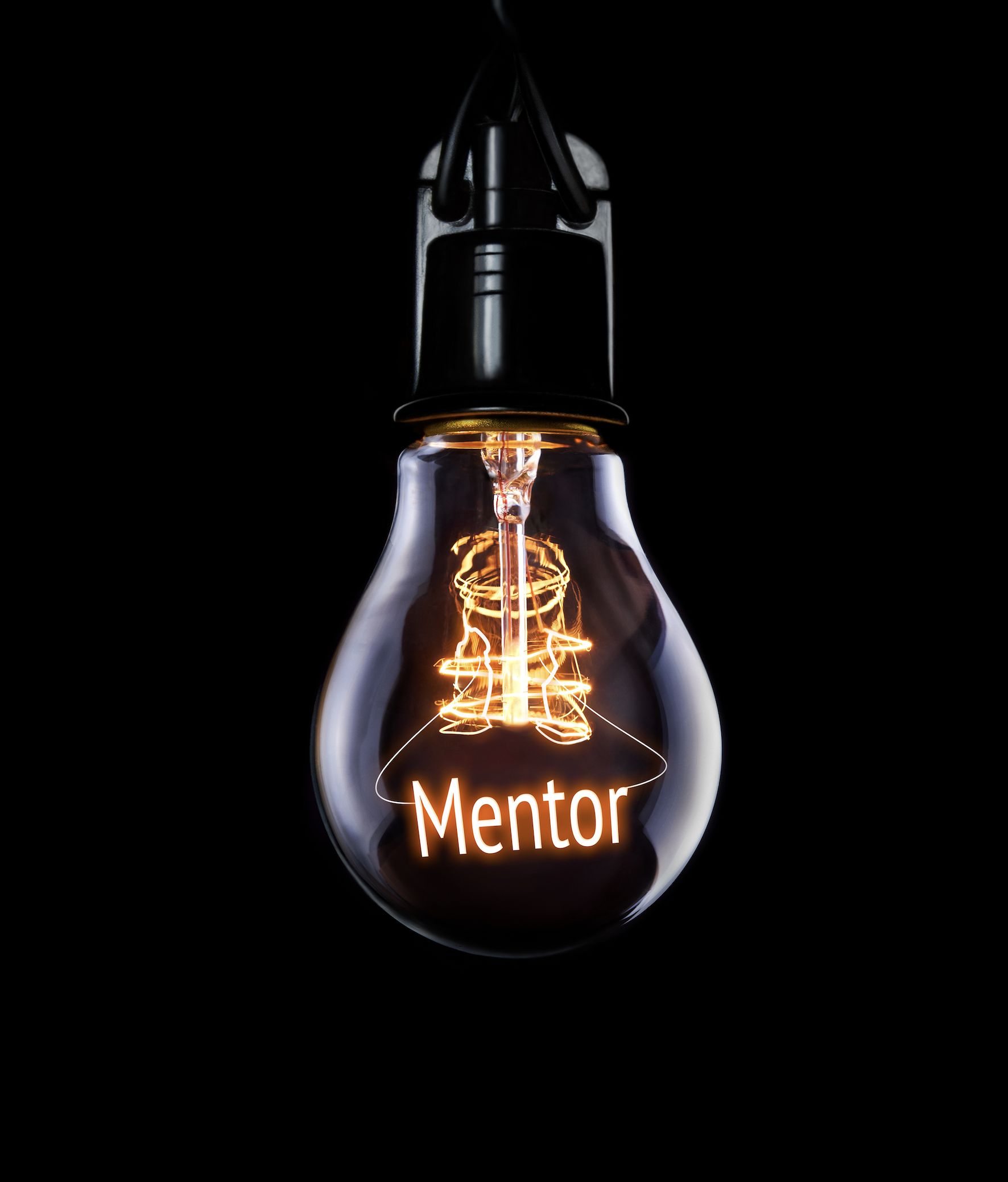 Shutterstock_2546788393 PLF' s mentorordning