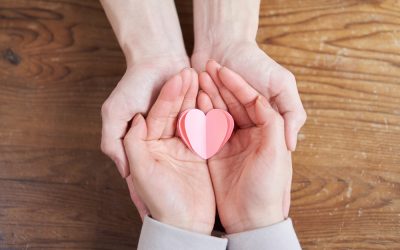 PLF’s trivselsmåling viser, hvordan plejefamilier oplever hverdagen