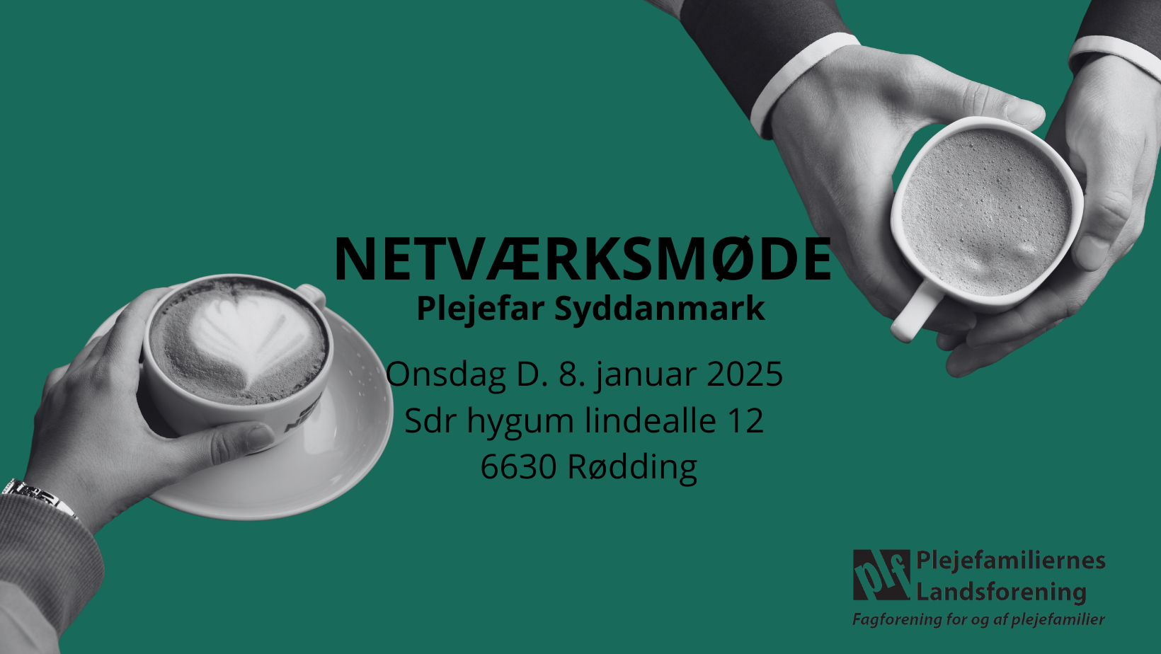 Kopi af NETVÆRKSMØDE-44