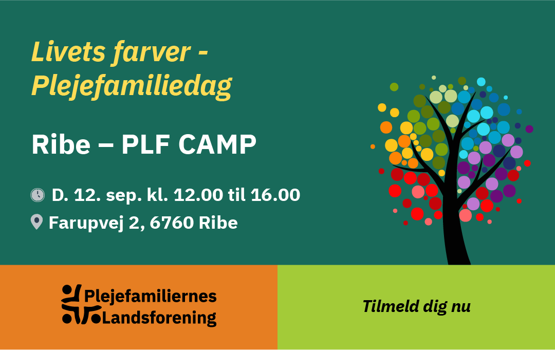 Ribe web