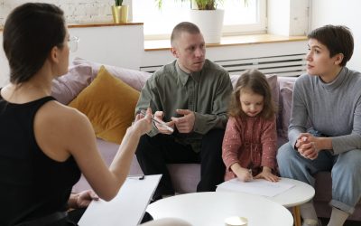 Plejefamilier er udfordret, når vi ikke er part i sagen