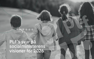 Hvad var indholdet i socialministerens nytårstale?