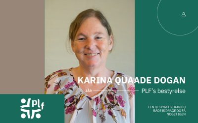 I en bestyrelse kan du både bidrage og få noget igen