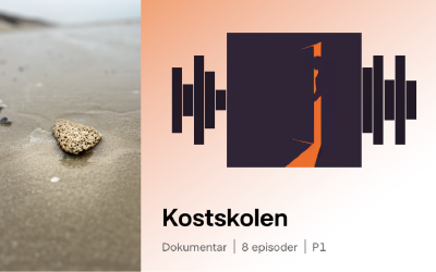 Havregården: Når systemet svigter de mest sårbare